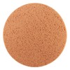 Titan Sponge Disc for CSM375 – Diameter 377 mm –