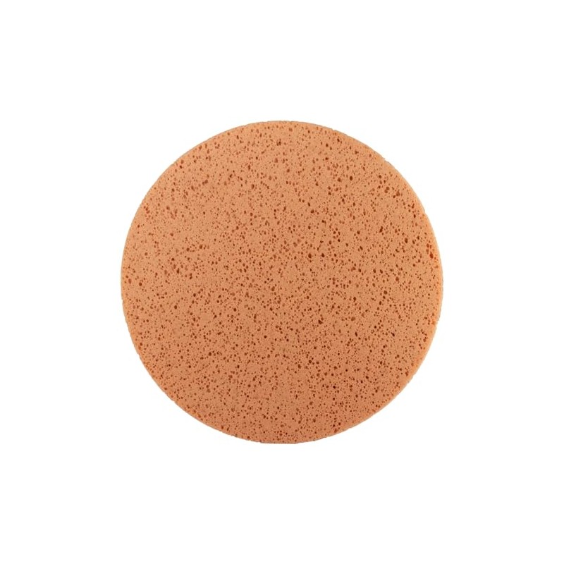 Titan Sponge Disc for CSM375 – Diameter 377 mm –