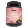 Suplemento Creatina Glutamina Flamish 1kg 50 Servicios