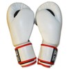 Ring to Cage Thai-Style Sparring Boxing Gloves - Limited Edition