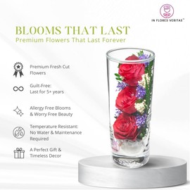 In Flores Veritas | Fresh Cut Preserved Roses in a Sealed Glass Vase | Long Lasting Bouquet Stays Fresh for 5+ Years | No Water Needed | Allergy Free | Unique Present Gift (Grace Red)