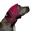 No Flap Ear Wrap The Original Pinpoint Mesh Small Red