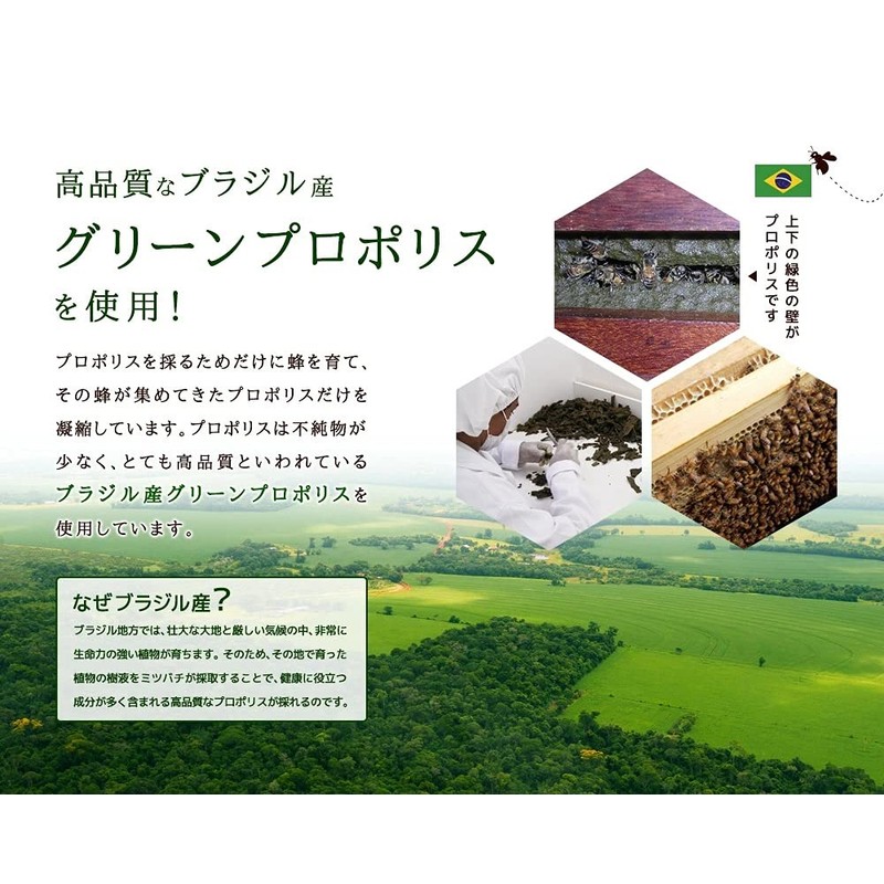シードコムス プロポリス サプリメント グリーンプロポリス使用 (約6ヶ月分 180粒)