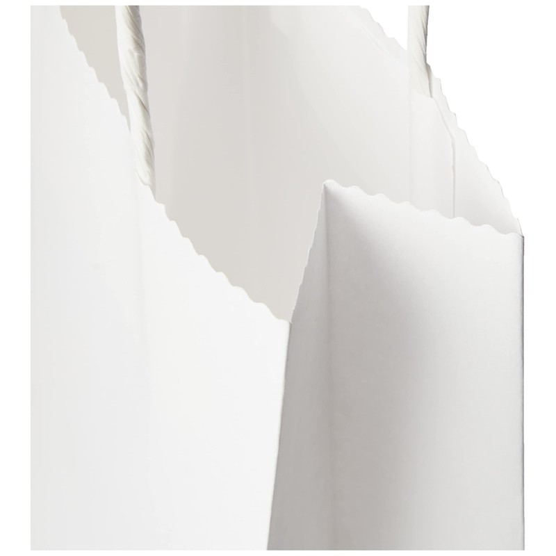 Docrafts Bare Basics Small Gift Bags, Pack of 5, White