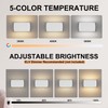 Aoceley Indoor Modern Led Aluminum Wall Sconces,18W 5CCT 3000K-6000K Dimmable