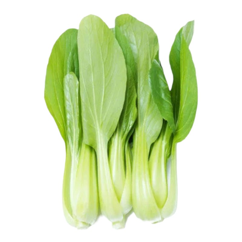 Nygardenia 1000pcs 'All Year Round' Chinese Cabbage Seeds - Heirloom