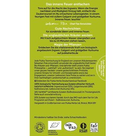 Pukka Bio Tee Drei Ingwer, 20 Beutel, 36g