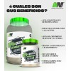 Wpi Pureza Aislado De Suero De Leche Y Creatina 900gr
