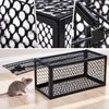 Reusable Metal Mouse Trap Cage for Indoor Rodent Control –