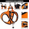 Dog Harness and Leash Set, Dog Harness for Dogs No