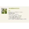 [Premium Uji Matcha] Matcha Powder, Unryu, 1.4 oz (40 g)