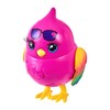Little Live Pets Lil' Bird Pippy Hippy - Interactive, colourful