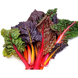 Samen Schenker Swiss Chard Seeds 50 Rainbow Mix Chard Seeds for Planting Vegetables Seeds for Outdoor Indoor Garden Planting Gardening Gift, Green