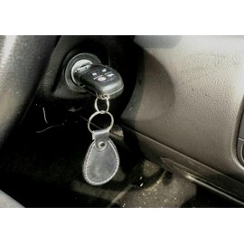 Immobilizer system loop type prevents escape