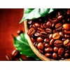 Coffee Roasters of Jamaica - 100% Jamaica Blue Mountain Coffee