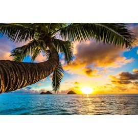 FANGKISSU DIY 5D Diamond Painting Kits for Adults, Sunrise in Hawaii Full Drill Diamond Art Painting by Number Kits,Arts Craft for Home Wall Decor(Santa Claus 12x16inch)