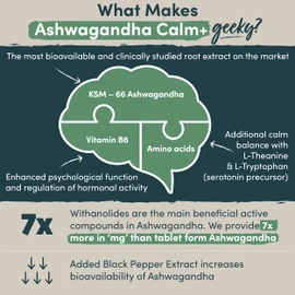 Nutrition Geeks Ashwagandha KSM 66 Complex – 3000mg Enhanced with L-Tryptophan & Vitamin B6 - 60 Capsules(2 Month Supply)