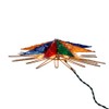 Kurt S. Adler 9.5-Inch UL 10-Light 8-Point Capiz Multi-Color Star