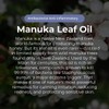 Sven's Island Miracle Manuka Botanical Skin Balm, 100g