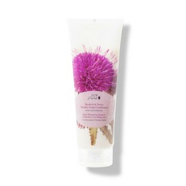 100% Pure Healthy Scalp Conditioner, 236ml