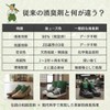 Smell Samurai Shoe Deodorizer, Just Put In, [98% Odor Reduction]