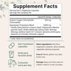 Micro Ingredients Chlorophyll 3,000mg Equivalent, 240 Veggie Capsules