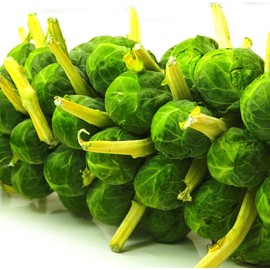 Earthcare Seeds Brussels Sprouts Catskill 500 Seeds (Brassica oleracea) Heirloom - Open Pollinated