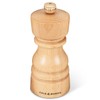 Cole & Mason London Refillable Spice Mill - Kitchen &