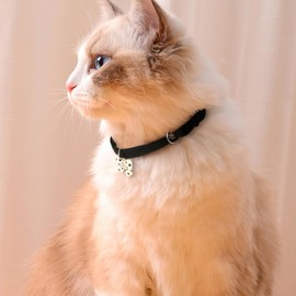 HOWWFALY Cat Collar Bow Soft & Comfy Detachable and Adjustable Cute Stylish Cartoon Bowtie Decorate Necklace for Small Pets Cats Dogs Kitten Puppy