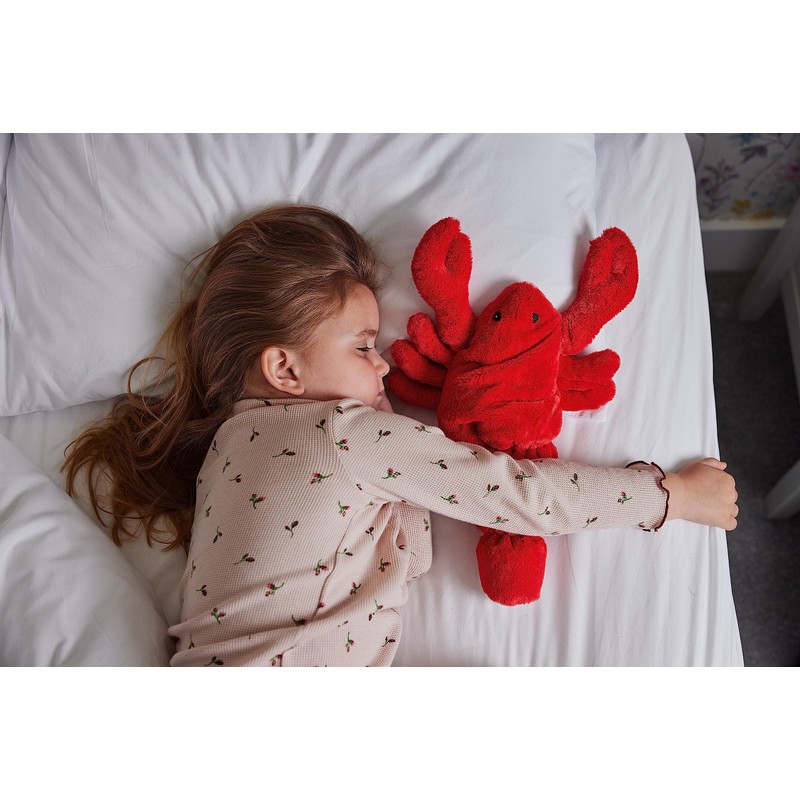Warmies® Fully Heatable Cuddly Toy scented with French Lavender -