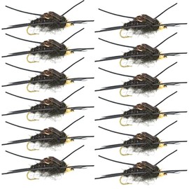 The Fly Fishing Place Bead Head Nymph Fly Fishing Flies - Kaufmann's Black Stone Fly with Rubber Legs - Stonefly Wet Fly - 12 Flies Hook Size 10