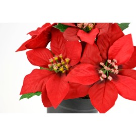 Artificial Flower Poinsettie in Pot Poinsettia Christmas Decoration Christmas Flower Decoration Artificial Flower Christmas Decorative Flower Branch X'Mas Bouquet Gift Decoration Advent Star, Set of 2
