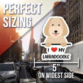 Cute I Love My Labradoodle Dog Magnet - Labradoodle Fridge Magnet Gift - Funny Labradoodle Puppy Magnet - Dog Lover Magnet Decor - Car Magnet - AAMT0332