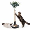 Pawalaya 35 Inch Cat Scratching Post, Eucalyptus Sisal Rope Cat