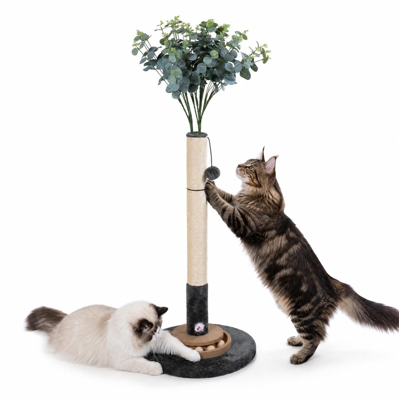 Pawalaya 35 Inch Cat Scratching Post, Eucalyptus Sisal Rope Cat