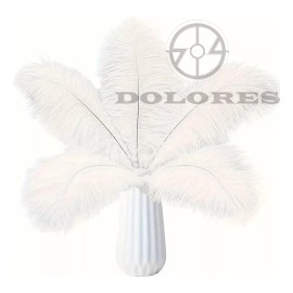 Dolores 50pcs Plumas Avestruz Calidad 15-20cm Fiestas Decoración