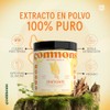 Commons Adaptógenos - Hongo Shatavari - Extracto Puro en Polvo