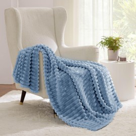 Bedsure Twin Blanket for Couch - GentleSoft Cozy Soft Blankets for Women, Cute Small Throws for Girls, Ashley Blue, 60x80 Inches