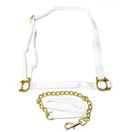 Equine Outlet White Adjustable Horse Welsh Show Halter Headcollar with Chain Lead - Pony & Cob (Cob)