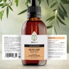 Teliaoils Premium Greek Olive Leaf Glycerin Extract, Rich in Antioxidant