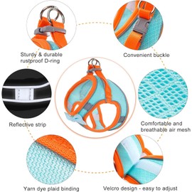Dog Harness with Leash Set, Step-in Breathable Puppy Cat Dog Vest Harnesses, No Pull Adjustable Reflective Puppy Harness with Soft Padded Vest for Extra-Small/Small Medium Large Dogs and Cats