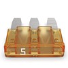 AUPROTEC Micro 3 Car Fuses Blade Fuses MikrOTO III 5A