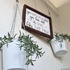 Picture Hanging Kit – Picture Rail Hooks with 12 of