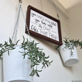 Picture Hanging Kit – Picture Rail Hooks with 12 of Each White Rail Hooks, 72 Inch Invisible Loop Cord, 12 Adjustable Hooks – Stainless Steel Picture Molding Hangers Nylon and Steel Cable