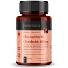 Pureclinica High Strength 1500mg Glucosamine HCL & Chondroitin x 180