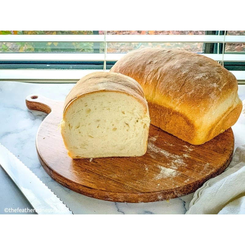 Heritage Sourdough Sourdough Starter DEHYDRATED Organic 175+ Year Old Italian