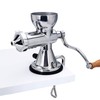 304 Stainless Steel Wheatgrass Juicer, Hand Crank Fruit Press for