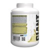 Giant Sports International Performance Edge Whey Upgrade 100 Whey Protena