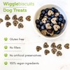 V-Dog Vegan Wiggle Biscuit Organic Dog Treats, Peanut Butter, 10