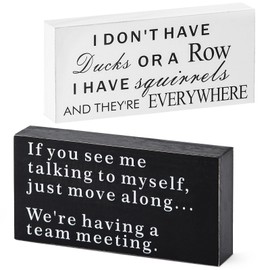 Suertree Office Decor Desk Accessories Home Desk Decor Cubicle Accessories - Inspirational Gifts for Friends - If you see me talking to myself & I DON'T HAVE Ducks OR A Row